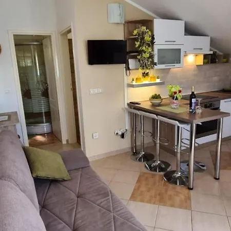 Panorama Apartment *