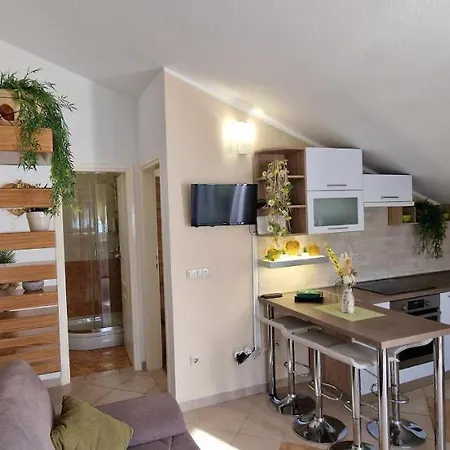 Panorama تروغير