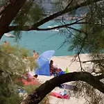 Panorama *